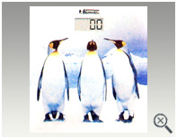 BALANZA DE BA&Ntilde;O VID5cp