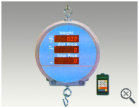 BALANZA ELECTR&Oacute;NICA COLGANTE PANTALLA ROJA