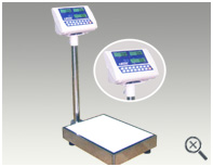 BALANZA COSTALERA INDUSTRIAL