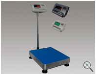 MODEL S100 &ndash; BALANZA DE PLATAFORMA